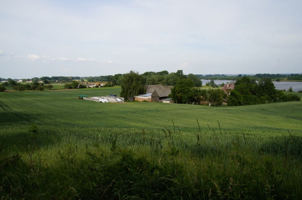 nawożenie, NIK, raport, gleba, uprawa, badanie gleby
