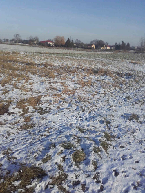 gleba, śnieg, pole
