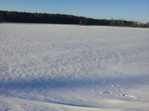 pole, śnieg, mróz