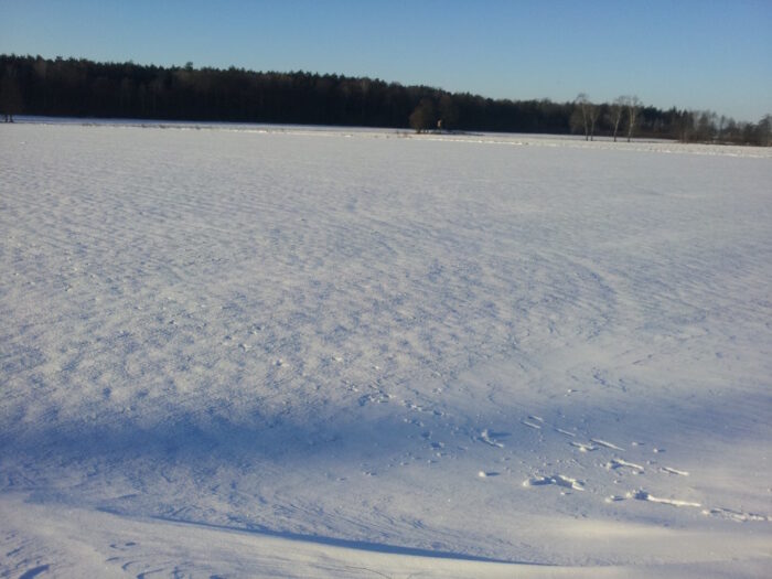 pole, śnieg, mróz