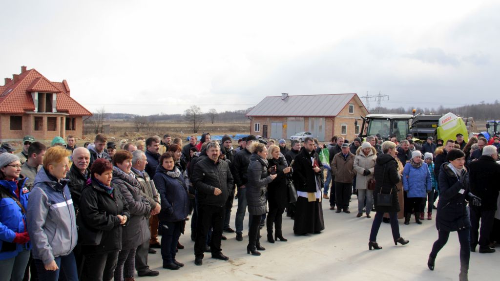 obora wolnostanowiskowa, drewno klejone, bydło mleczne