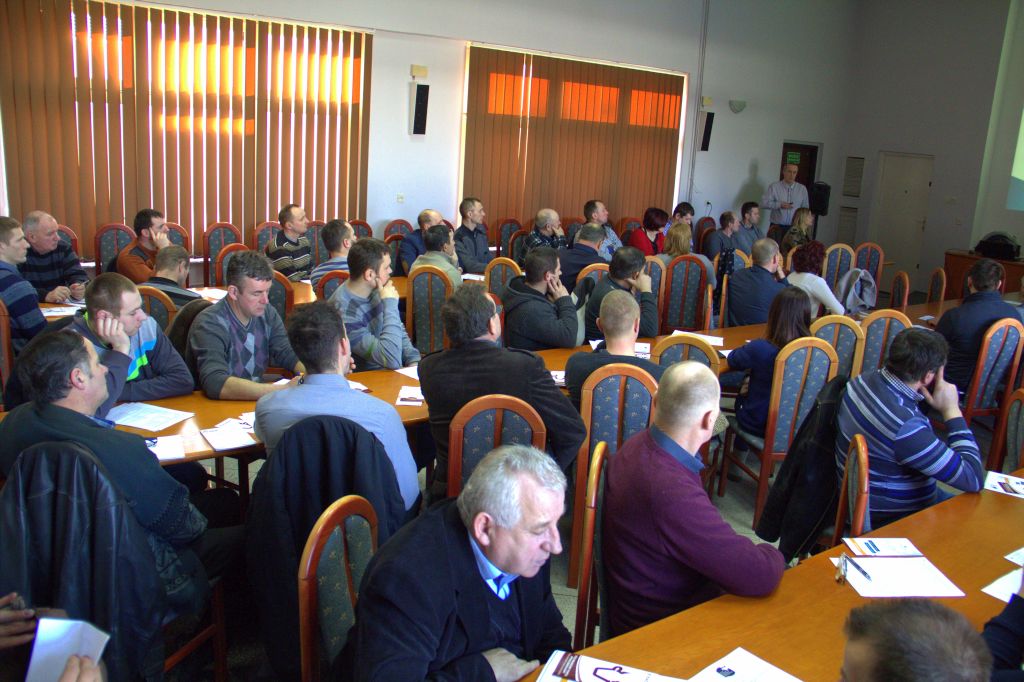 wołowina, bydło opasowe, system QMP,