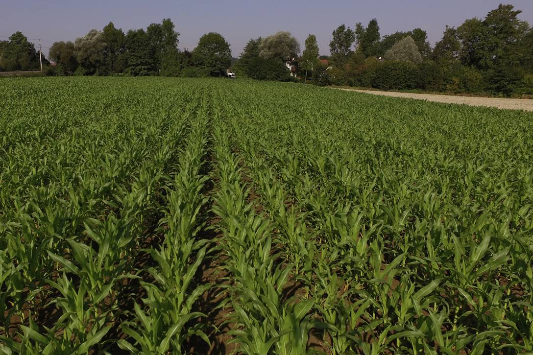 Pöttinger Aerosem Duplex Seed