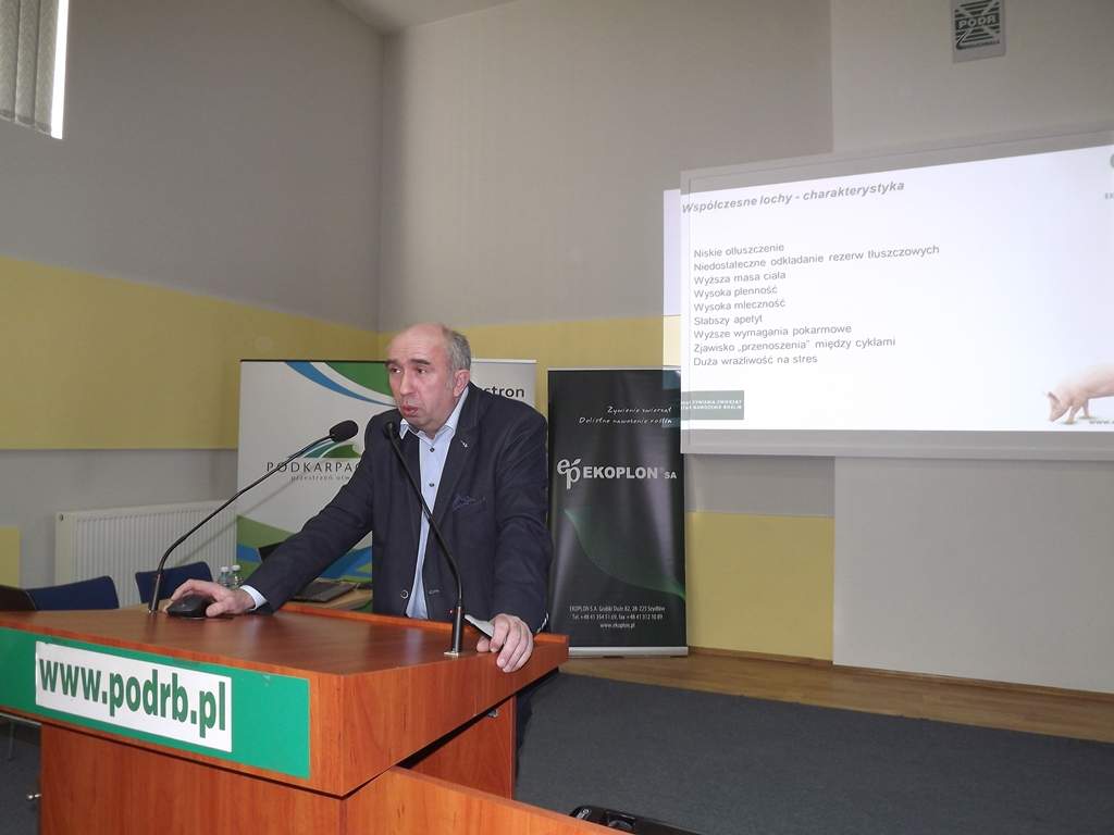 ASF, afrykańśki pomór świń, podkarpackie, wirus ASF, Podkarpacie, konferencja w Boguchwale