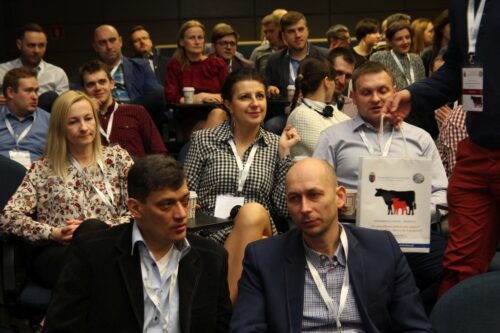 cielęta, odchów, siara, bydło mleczne