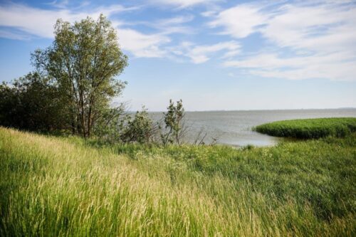 obszar natura 2000, ministerstwo środowiska, obszary siedliskowe, ochrona ptaków, Andrzej Szweda-Lewandowski