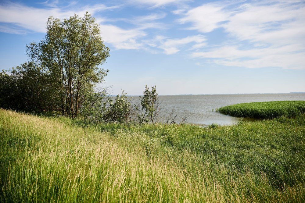 obszar natura 2000, ministerstwo środowiska, obszary siedliskowe, ochrona ptaków, Andrzej Szweda-Lewandowski