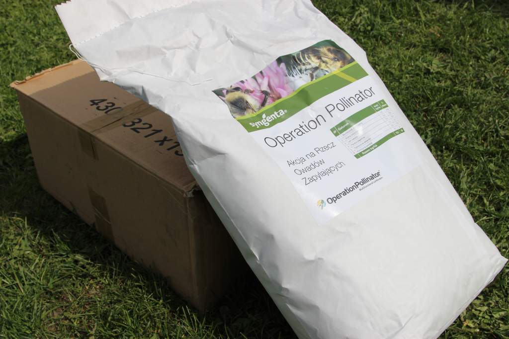 owady, pszczoły, Syngenta, nasiona od Syngenty, bezpłatne nasiona od Syngenty, pszczoły, miód