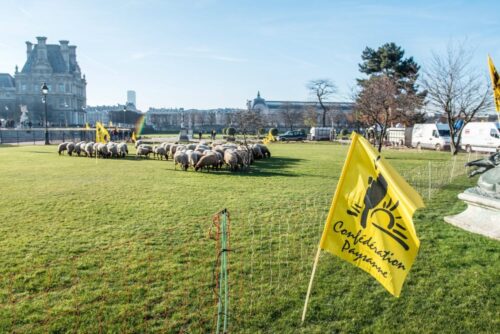 francja, Confederation paysanne, konfederacja chłopska, organizacje rolnicze, rolnictwo, konkurencyjność rolnictwa