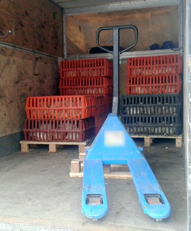 drób, transport, mandat, WITD, kontrola transportu drobiu, wielkopolskie