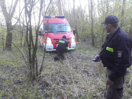 OSP Sahryń, strażacy, padły łoś
