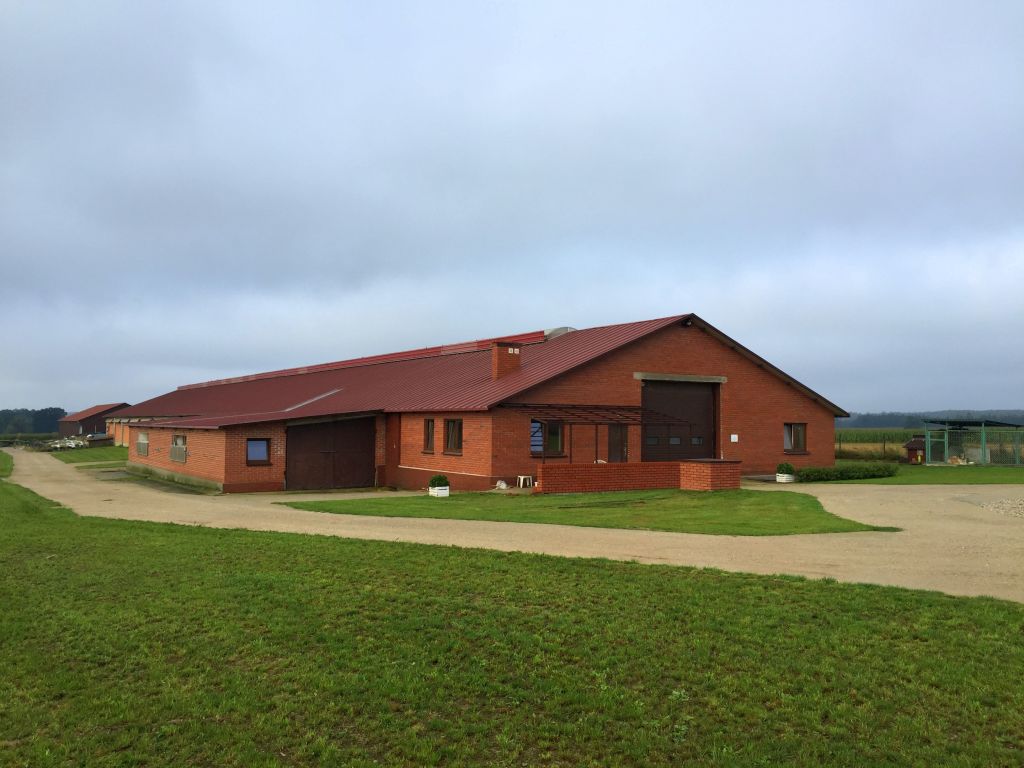 opas bydła, wołowina, różowe mięso