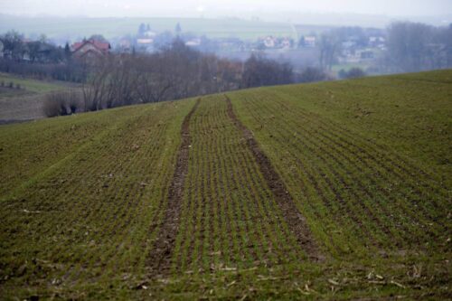 gwarancje do kredytów, rozwój obszarów wiejskich, prow 2014-2020, wsparcie dla rolnictwa