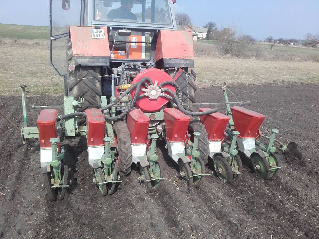buraki cukrowe, siew, termin siewu, głębokość siewu, gęstość siewu, staranność siewu, jednostka siewna