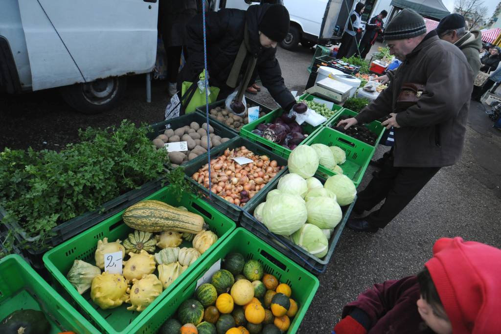 GMO, żywność, prawo, znakowanie żywności i pasz, bez GMO