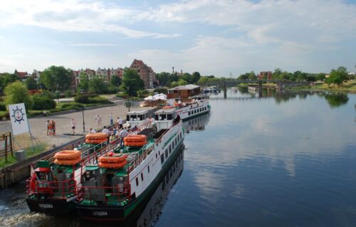 port elbląg, elbląg, produkty roślinne, kontrola fitosanitarna, ministerstwo rolnictwa