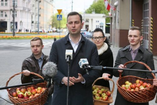 PSL, 1 maja, praca, zatrudnienie, PSL, Władysław Kosiniak-Kamysz