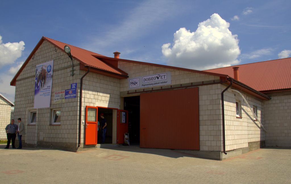 obora, modernizacja, wózek paszowy, bydło mleczne