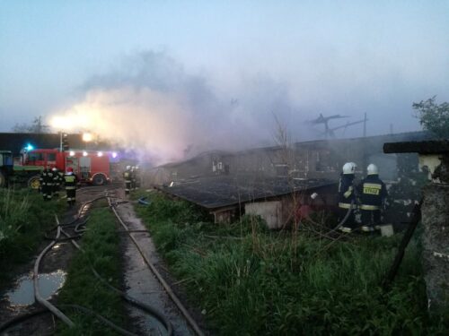 Niedźwiedź, Kielce, Świętokrzyskie, pożar chlewni, chlewnia, trzoda chlewna, świnie