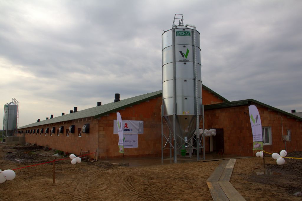 tuczarnia, tucz kontraktowy, Cedrob, Banach