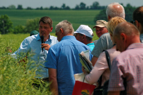 Top Farms Agro, Bogdanowice, Głubczyce, zielone agro pola, opolszczyzna