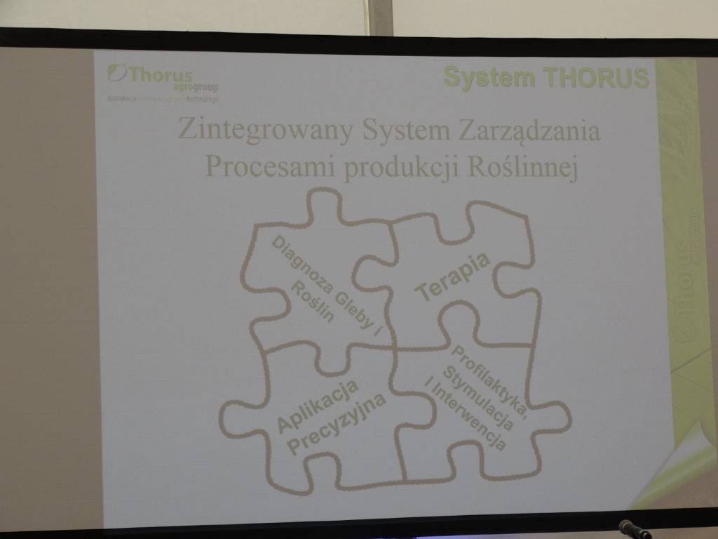 Dnia Pola Michalów 2017