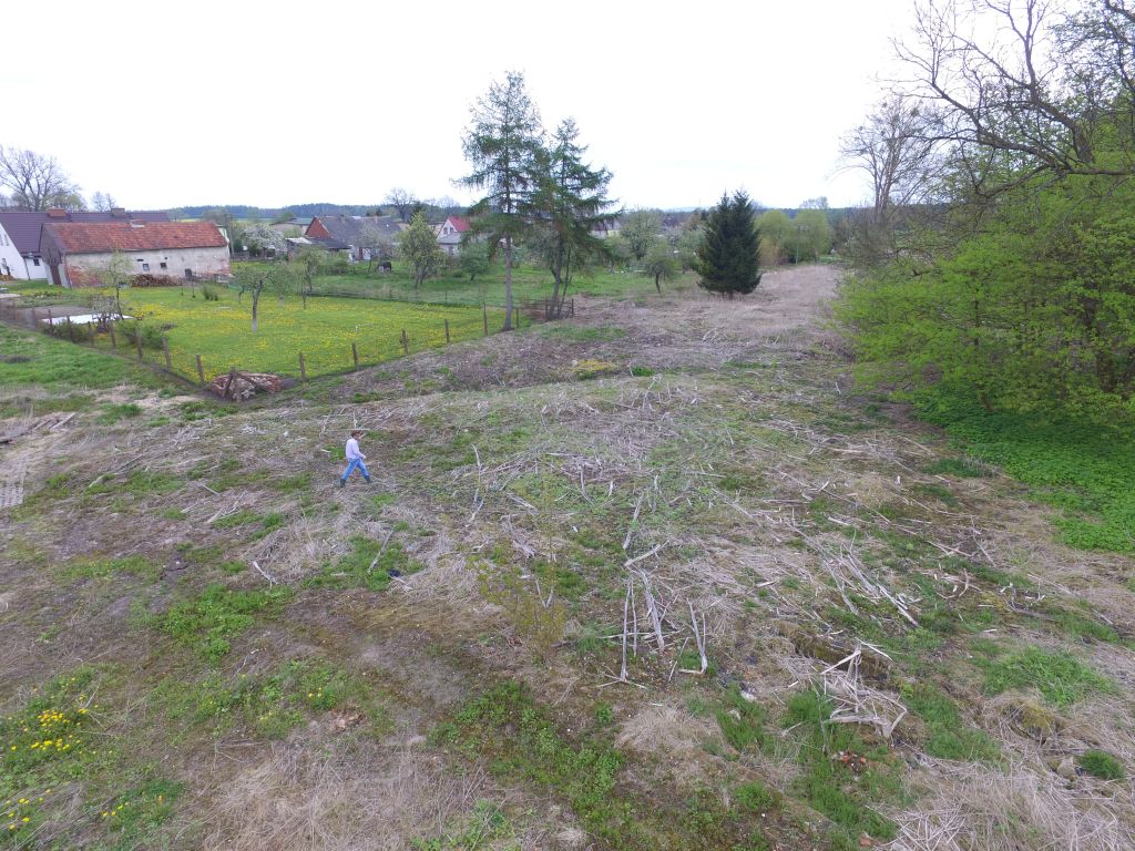 barszcz Sosnowskiego, walka z barszczem sosnowskiego, pomorze, gmina kępice, dron