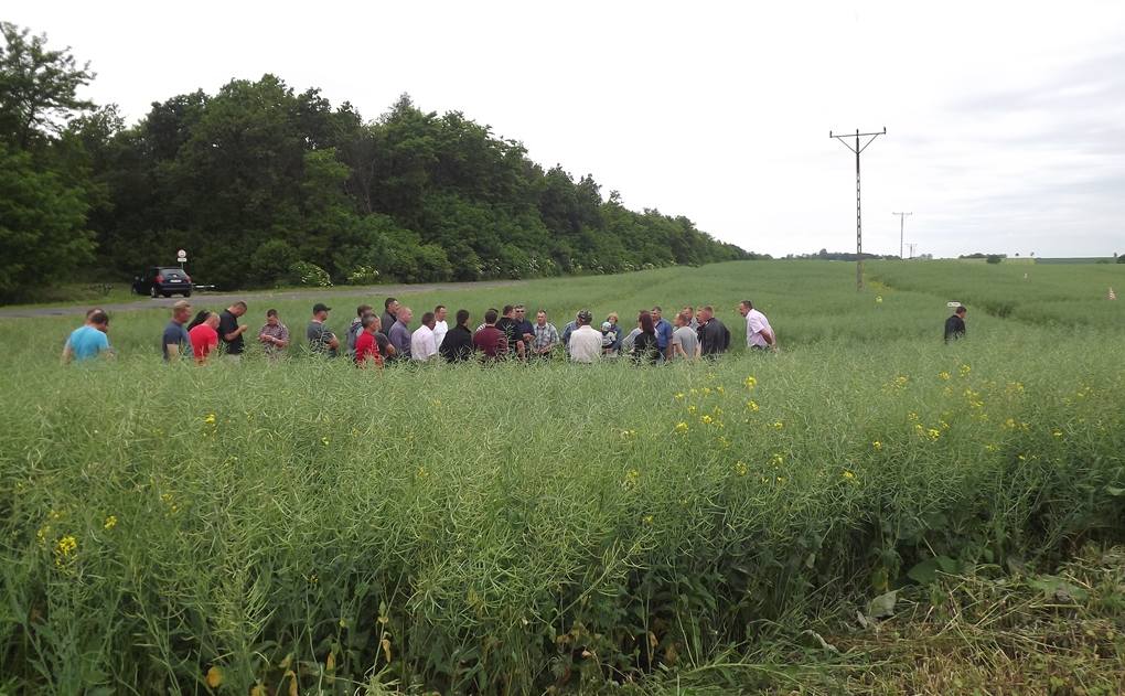 Wólka Poturzyńska, DuPont,  Marek Chorzępa, gospodarstwo Jacka i Tomasza Senderów, Dzień Pola w Wólce Poturzyńskiej