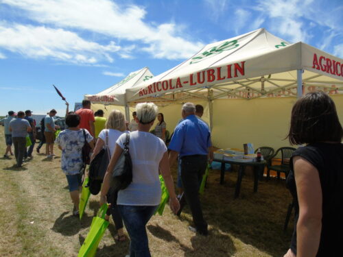 Dni Opola Obsza