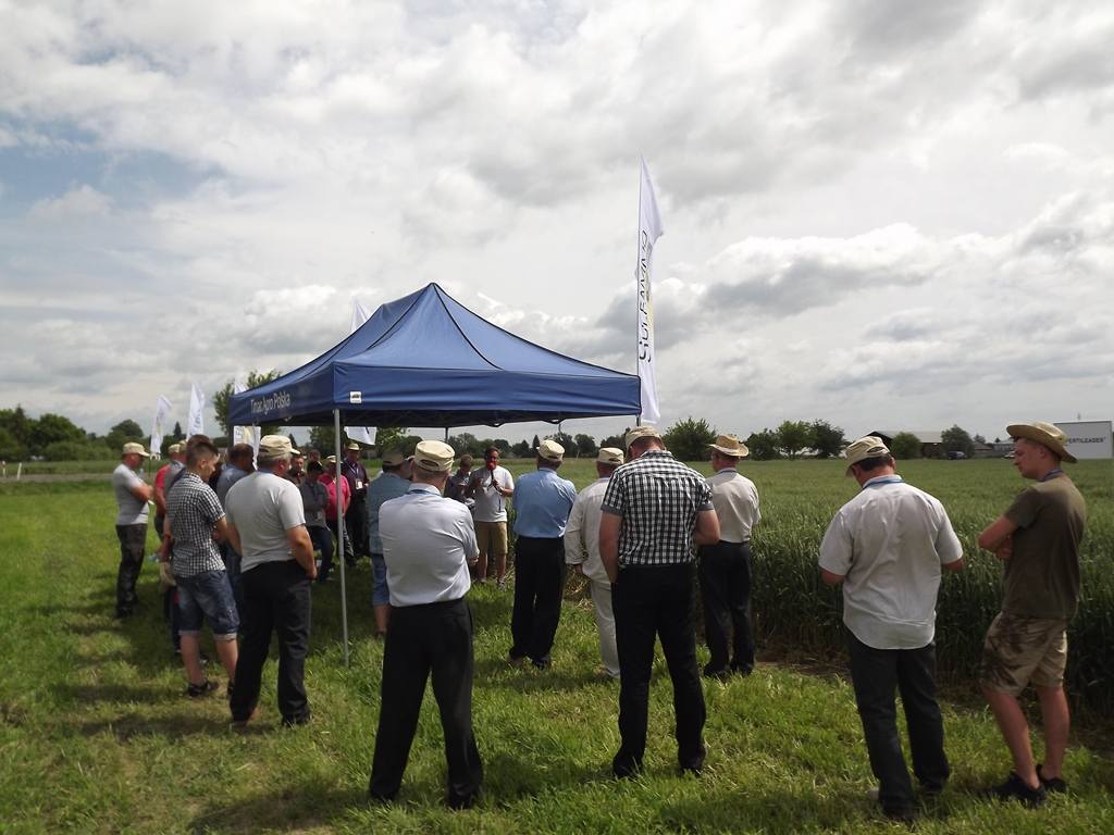 Panorama Pól Timac Agro Polska, nawożenie, Panorama Pól Timac Agro w Dębnie, podkarpackie