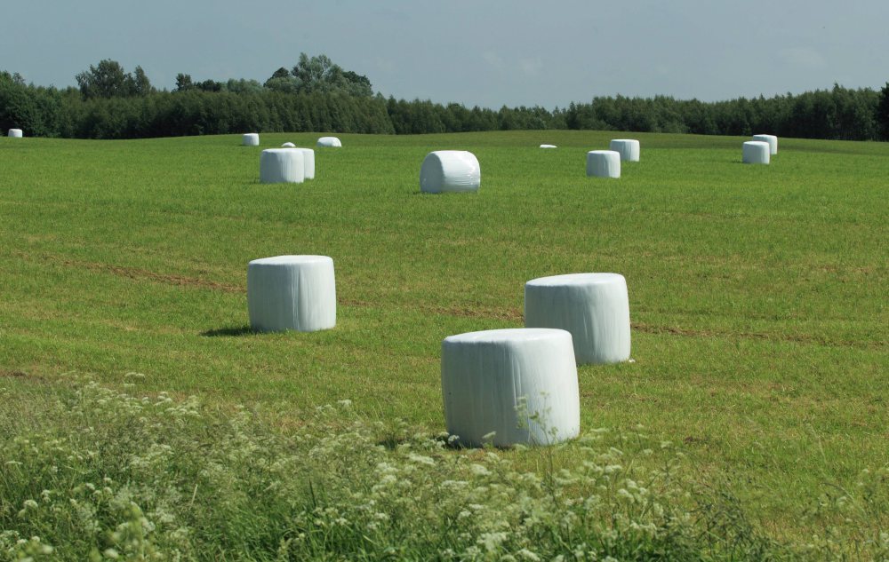 susza rolnicza, deficyt wody, stan upraw, Klimatyczny Bilans Wodny, Instytut Uprawy Nawożenia i Gleboznawstwa