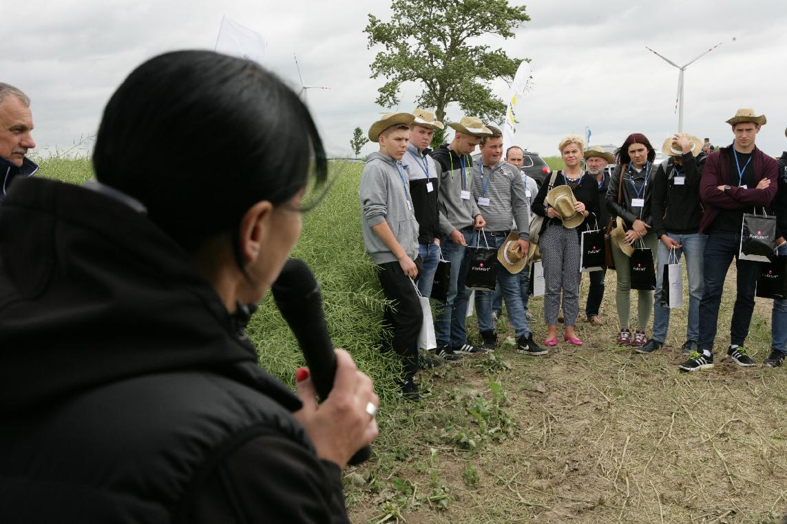 panorama pól