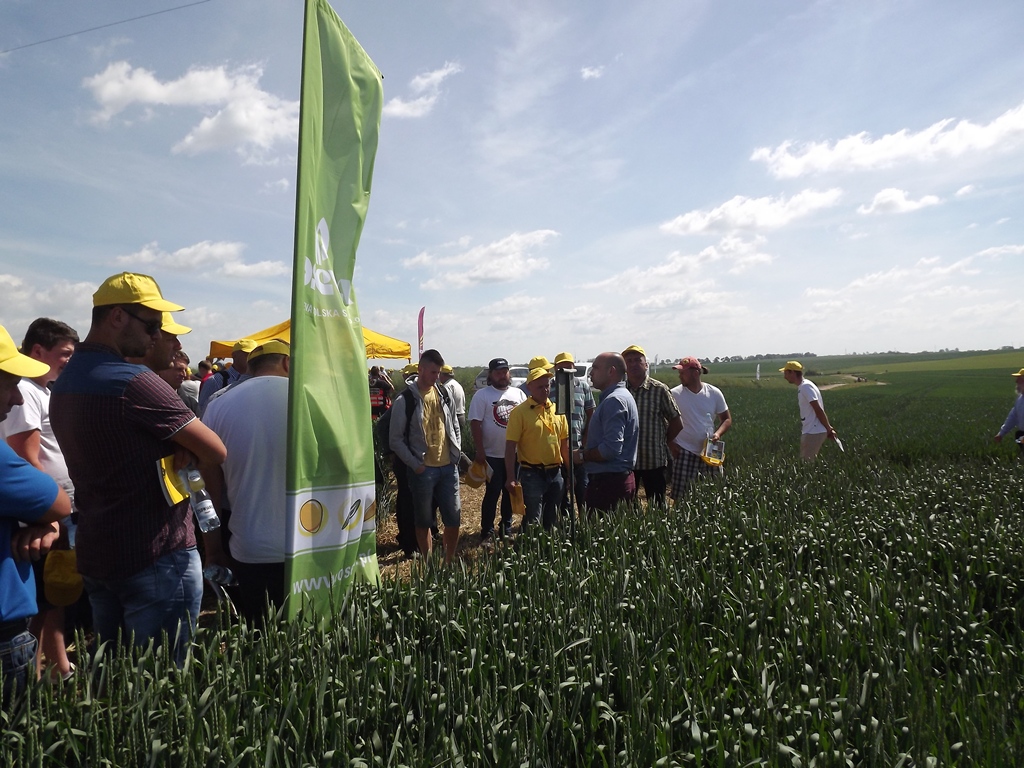 wiszniów, TeamAgro Kuczyńska, powiat hrubieszowski, rzepak, psenica, soja, Pola Demonstracyjne Rzepaku, Pszenicy i  Soi