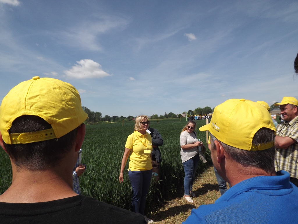 wiszniów, TeamAgro Kuczyńska, powiat hrubieszowski, rzepak, psenica, soja, Pola Demonstracyjne Rzepaku, Pszenicy i  Soi