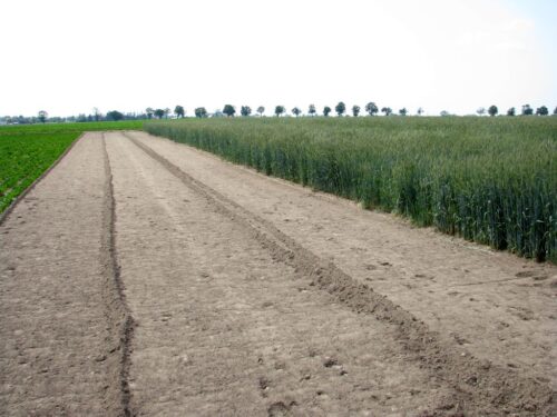 ziemia rolna, obrót ziemią rolną, sprzedaż ziemi rolne, rolnictwo, krir, dzierżawa ziemi