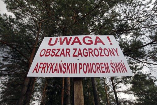 asf_pomor