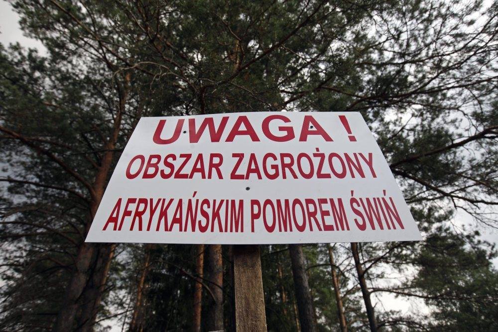 asf_pomor