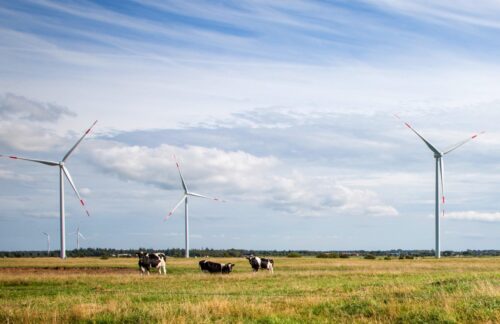 energetyka wiatrowa, elektrownia wiatrowa, wiatraki, ustawa odległościowa, psew, system aukcyjny, świadectwa pochodzenia