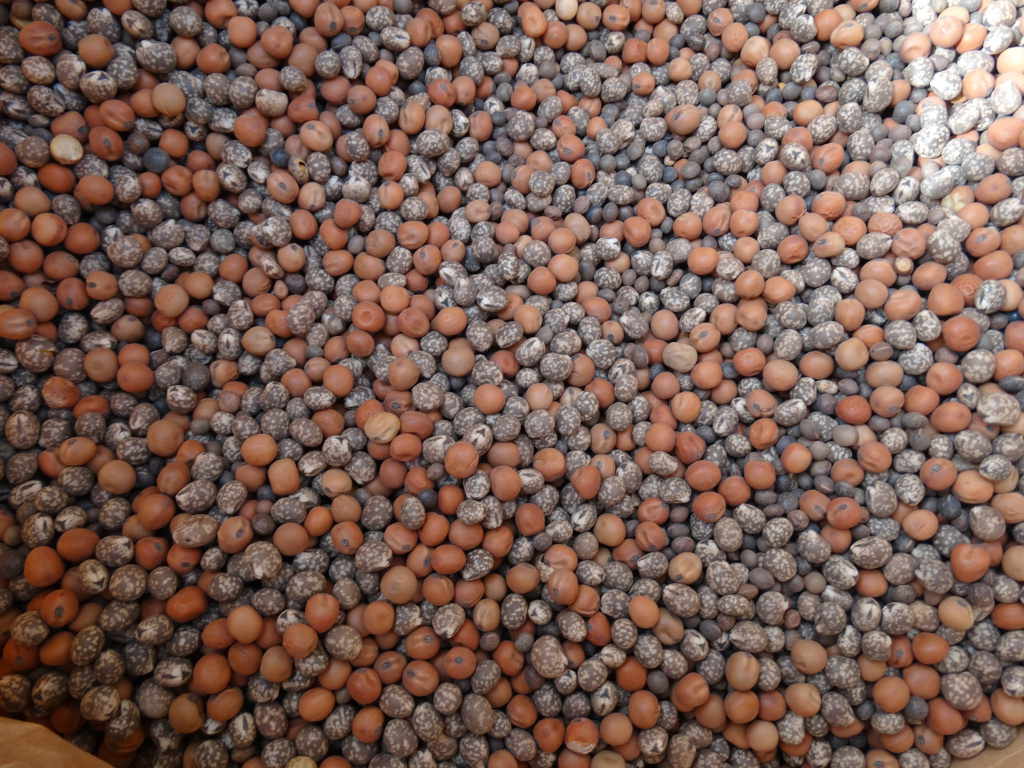 Solactiv, nasiona, Naturalcrop