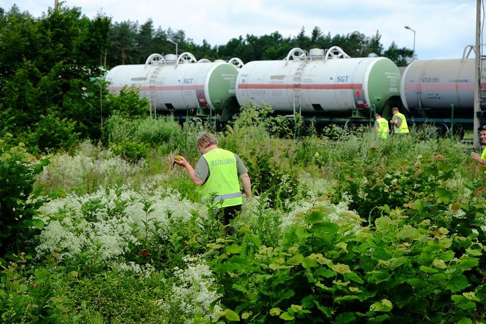 dziki, trzoda chlewna, ASF, afrykańki pomór świń, wirus ASF w gospodarstwie