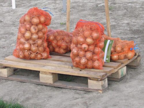 umowy na dostawę produktów rolnych, rolnik, przetwórca, rolniczy handel detaliczny, działalność rolnicza