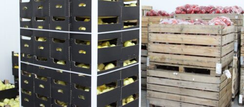 agrobiznes, Azja, Afryka, nowe kierunku eksportu żywności, eksport żywności