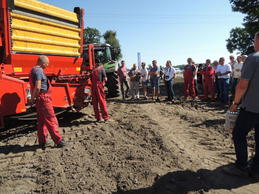 Ziemniaczane Warsztaty Polowe, Chobienice, wielkopolska, uprawa ziemniaka, agro akademia basf