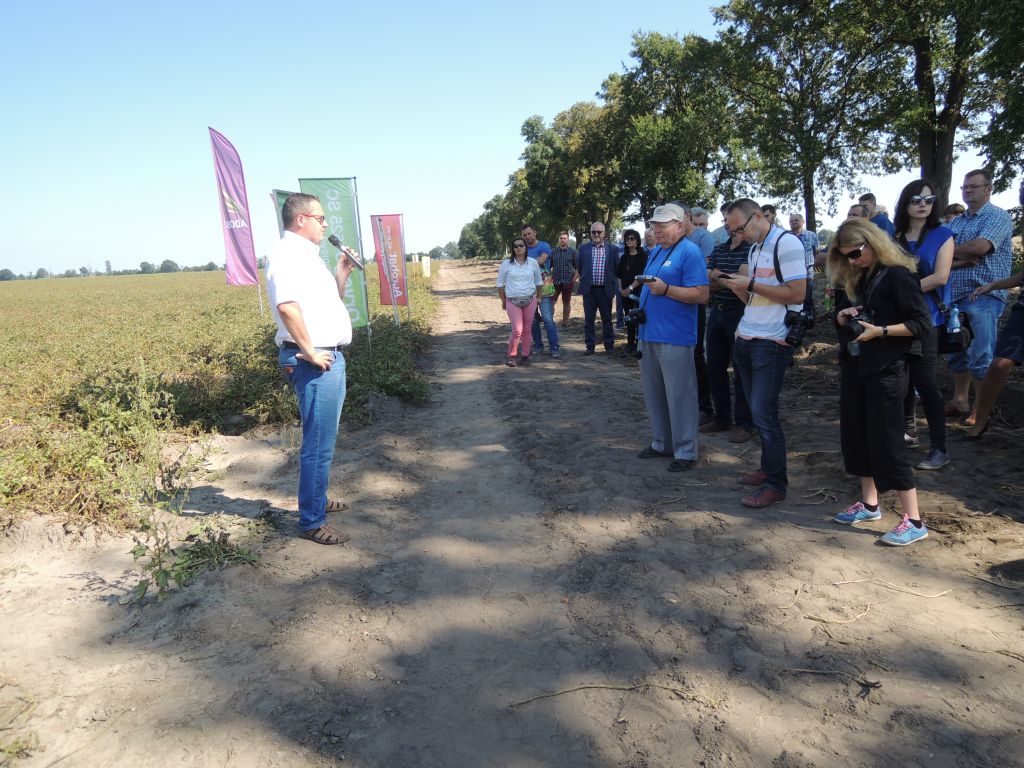 Ziemniaczane Warsztaty Polowe, Chobienice, wielkopolska, uprawa ziemniaka, agro akademia basf