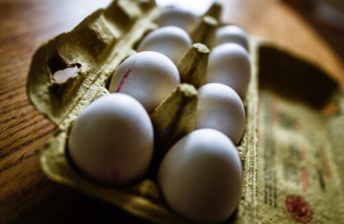 skażone jaja, afera z jajami, belgia, holandia, fipronil