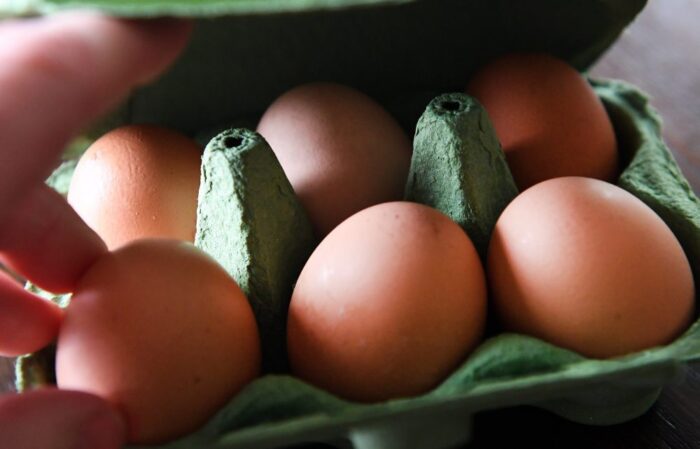 jaja skażone fipronilem, fipronil, skazone jaja, skazony drób, sąd w Zwolle