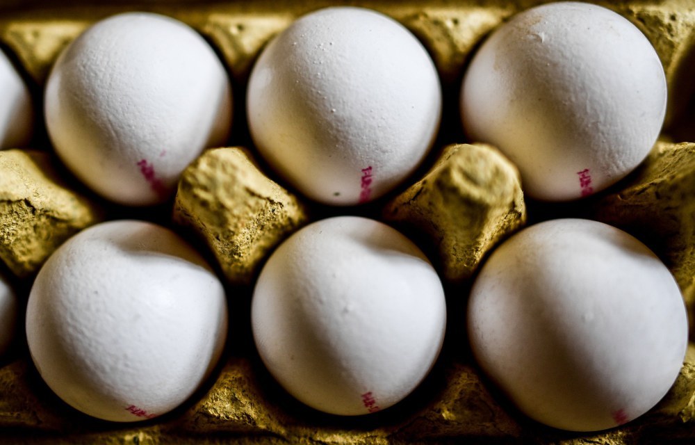 skażone jaja, afera z jajami, fipronil, kury, drób, import jaj do polski