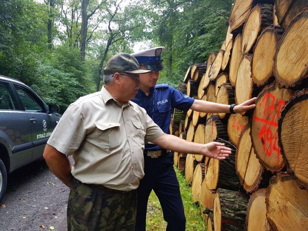 straż leśna, policja, patrol w lesie, drewno, przestępstwo, śląskie