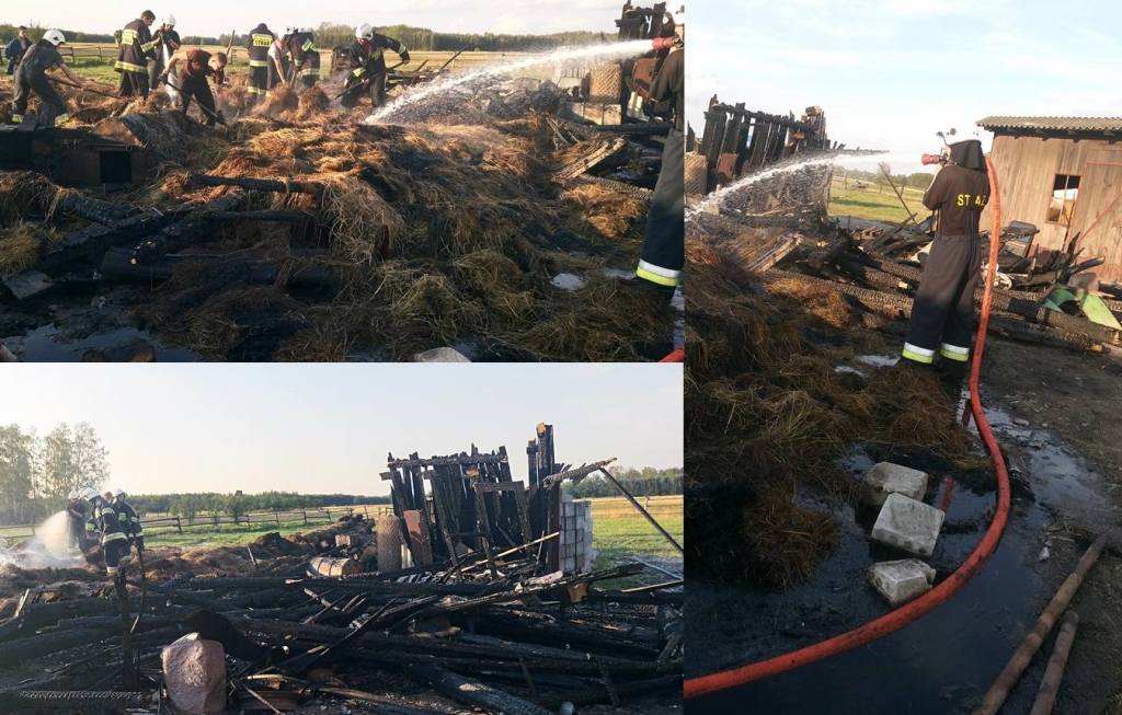 policja, pożar, ochotnicza straż pożarna, OSP, strażacy podpalali łąki i lasy