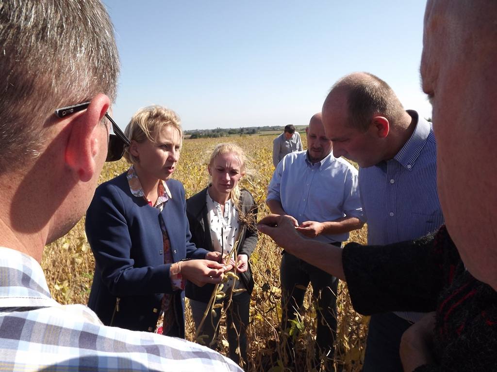 AgroYoumis, soja, uprawa, soi, odmiany soi, Natalia Sibirtseva